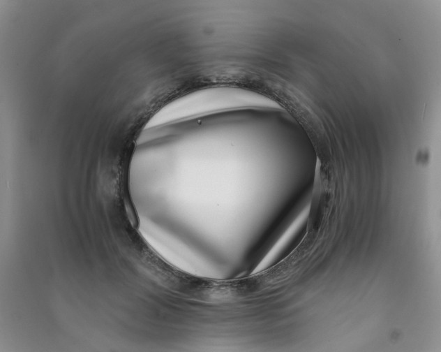 X0000090700604200708171848