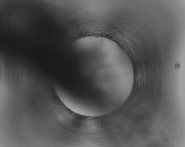 X0000090700608200708171848