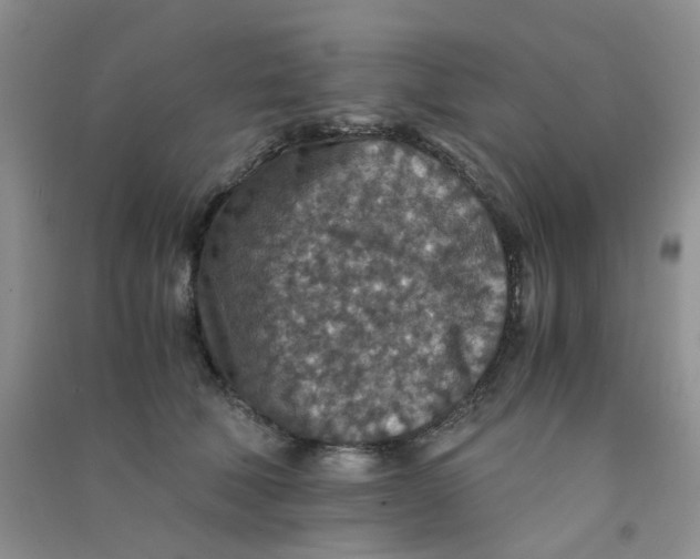 X0000090700610200708171848