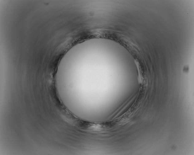 X0000090700611200708171848