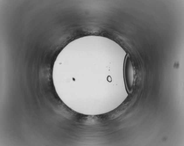 X0000090700612200708171848