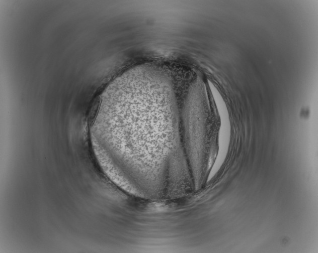 X0000090700613200708171848