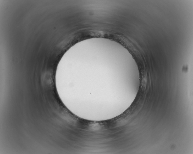 X0000090700616200708171847