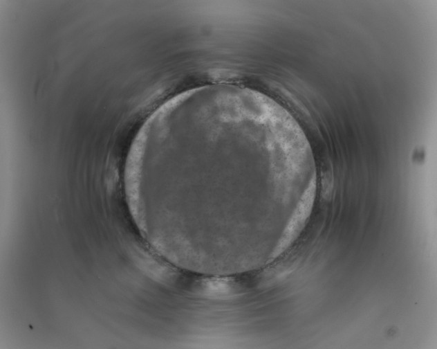 X0000090700618200708171847