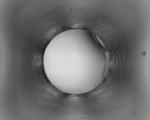 X0000090700620200708171847