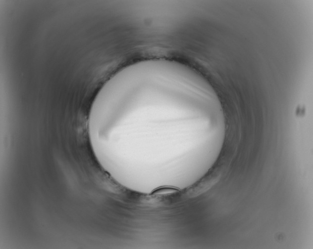 X0000090700624200708171847