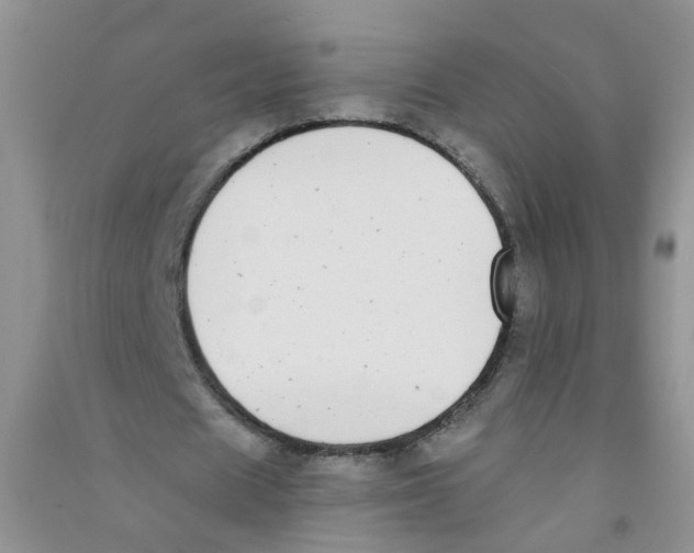 X0000090700625200708171847