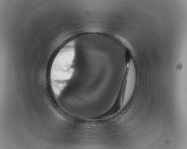 X0000090700627200708171847