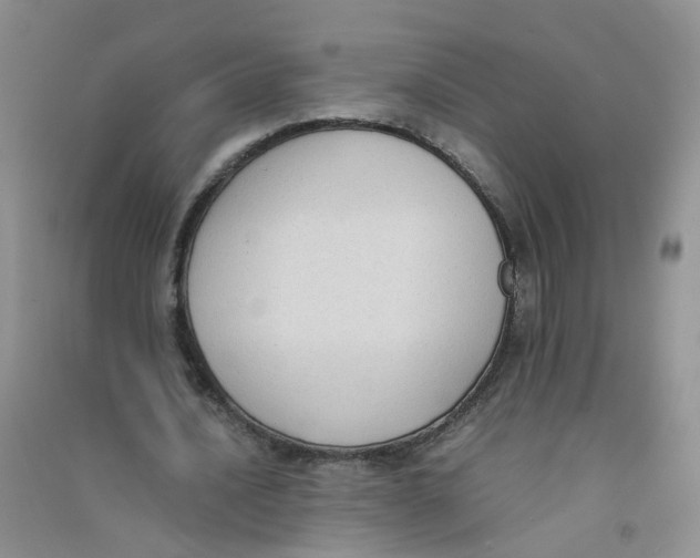 X0000090700628200708171847