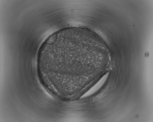 X0000090700630200708171847