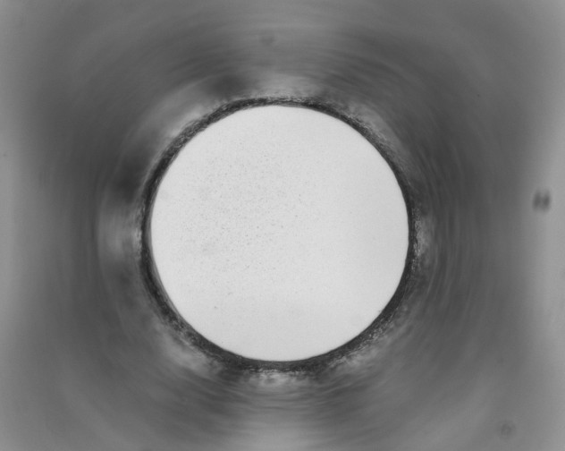 X0000090700632200708171847