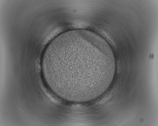 X0000090700634200708171847