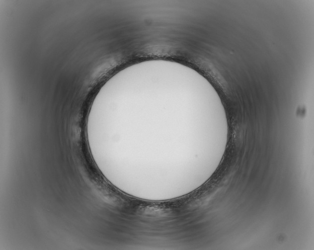 X0000090700635200708171847