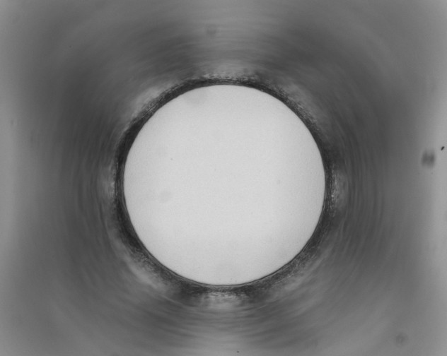 X0000090700636200708171847