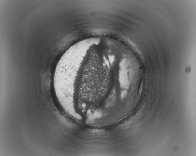 X0000090700637200708171847