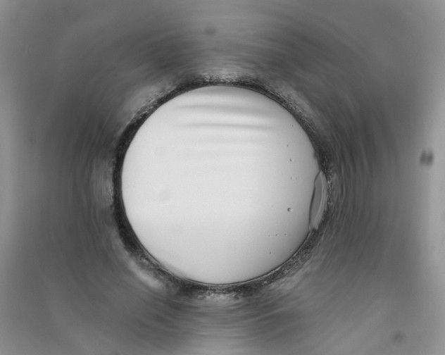 X0000090700638200708171847