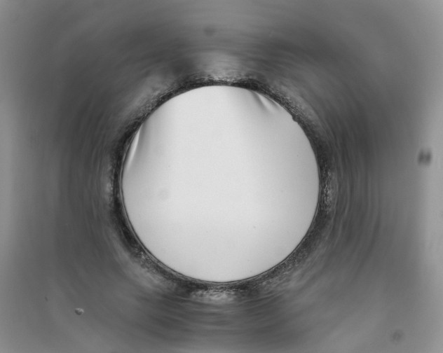 X0000090700639200708171847