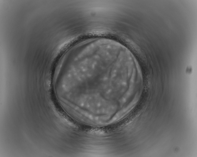 X0000090700640200708171847