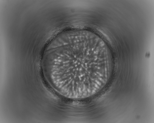 X0000090700641200708171847