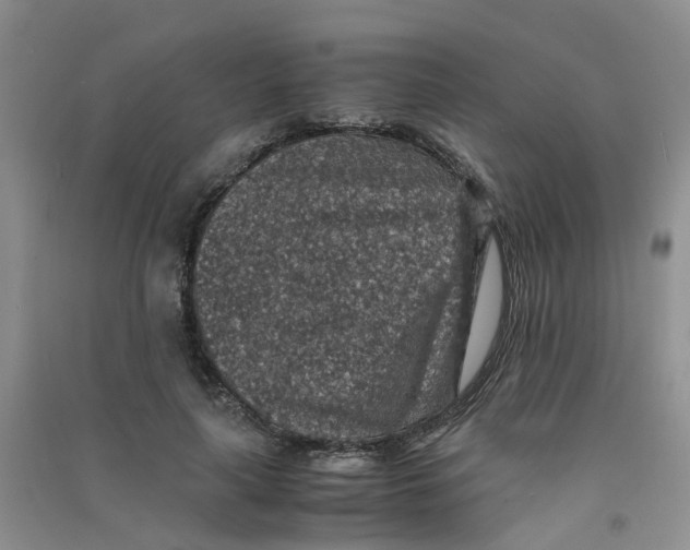 X0000090700643200708171847