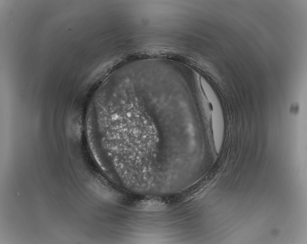 X0000090700644200708171847