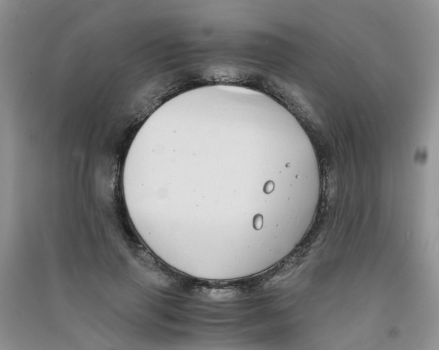 X0000090700645200708171847