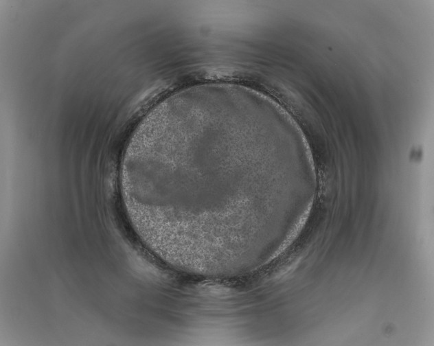 X0000090700648200708171847