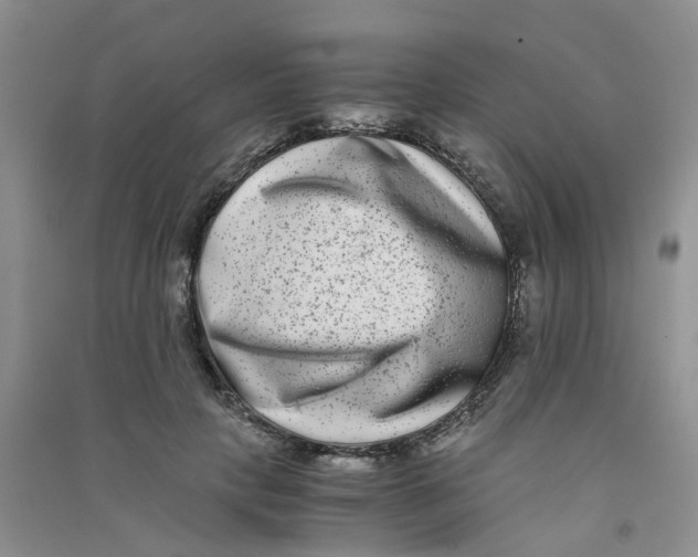 X0000090700649200708171847