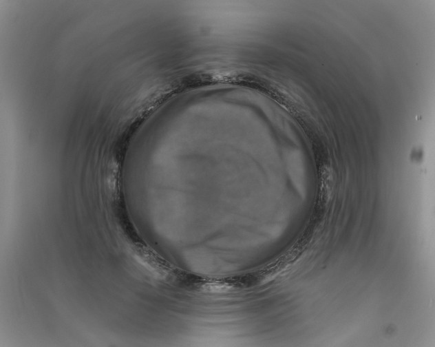 X0000090700650200708171847