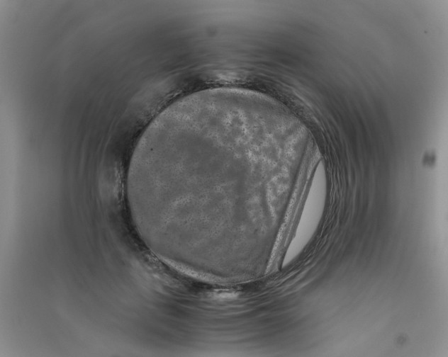 X0000090700651200708171847