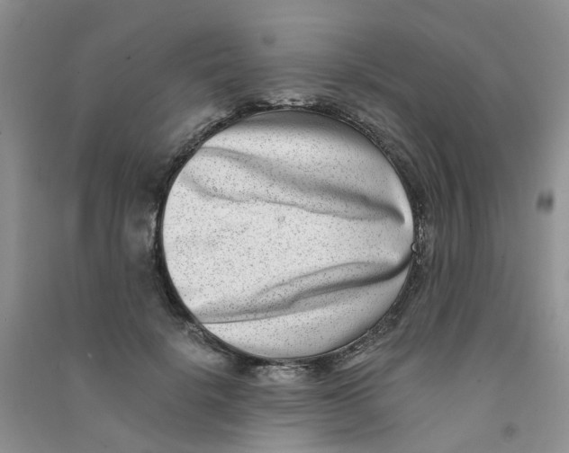 X0000090700652200708171847