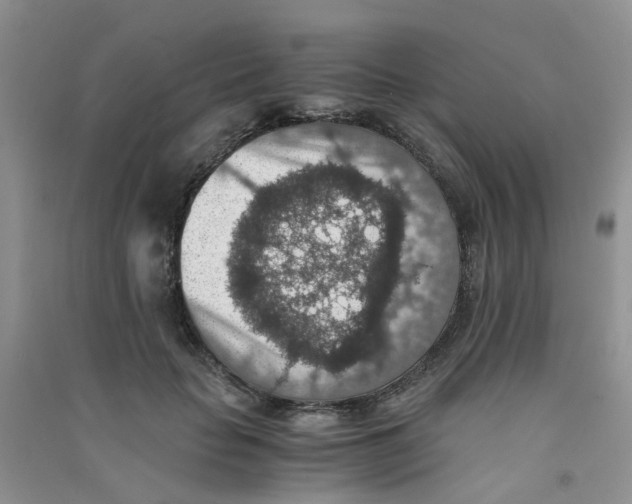 X0000090700653200708171847