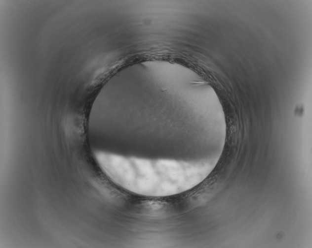 X0000090700654200708171847