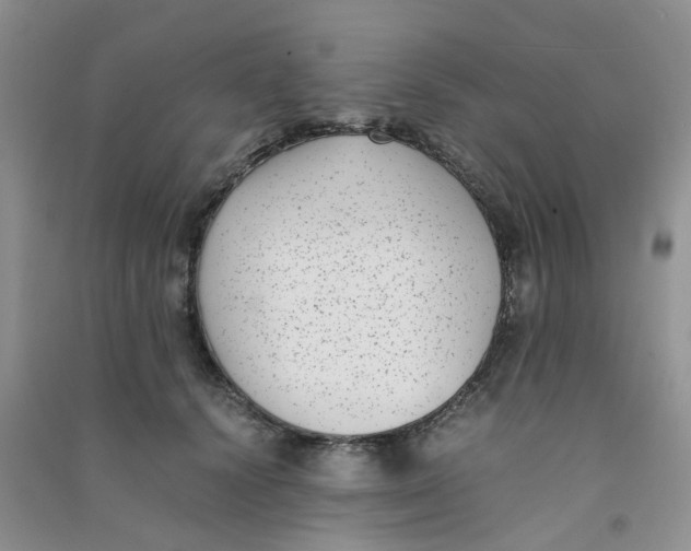 X0000090700656200708171847