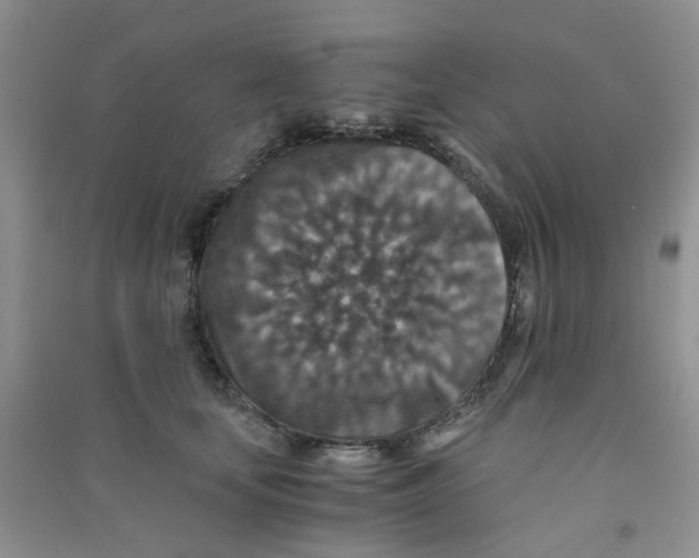 X0000090700659200708171847