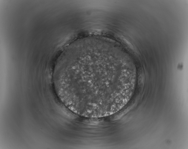 X0000090700661200708171847