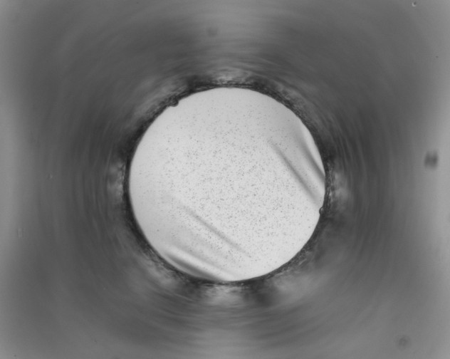 X0000090700664200708171847