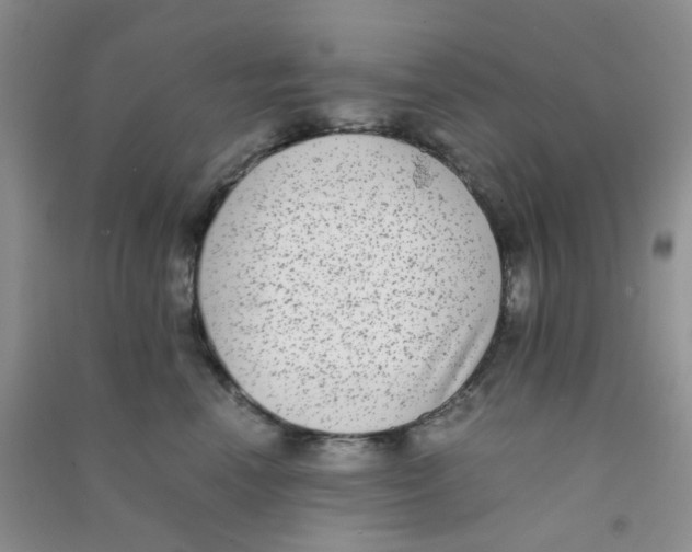 X0000090700666200708171847