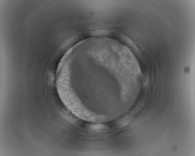 X0000090700669200708171847