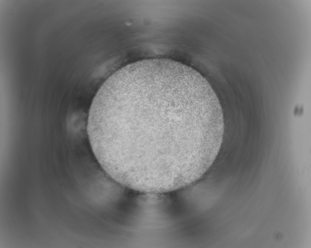 X0000090700672200708171847