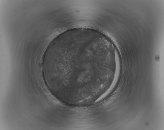 X0000090700673200708171847