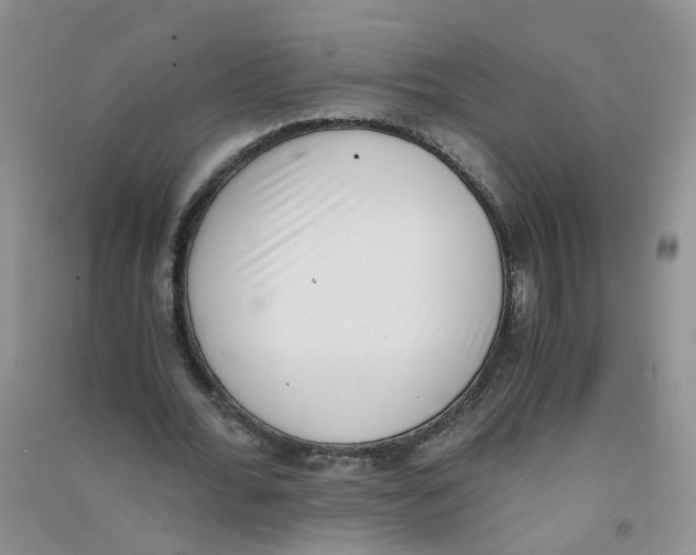 X0000090700676200708171847