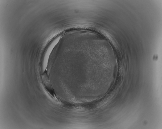 X0000090700677200708171847