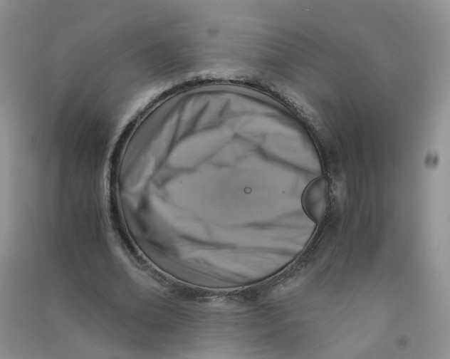 X0000090700678200708171847