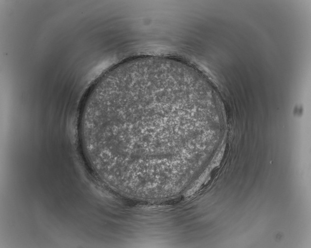 X0000090700679200708171847