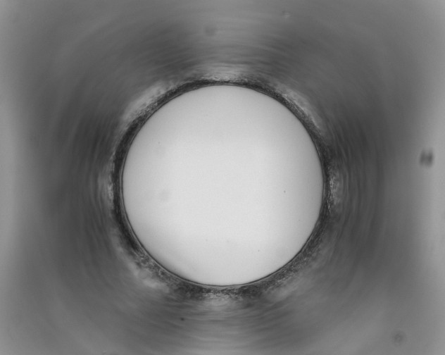 X0000090700682200708171847