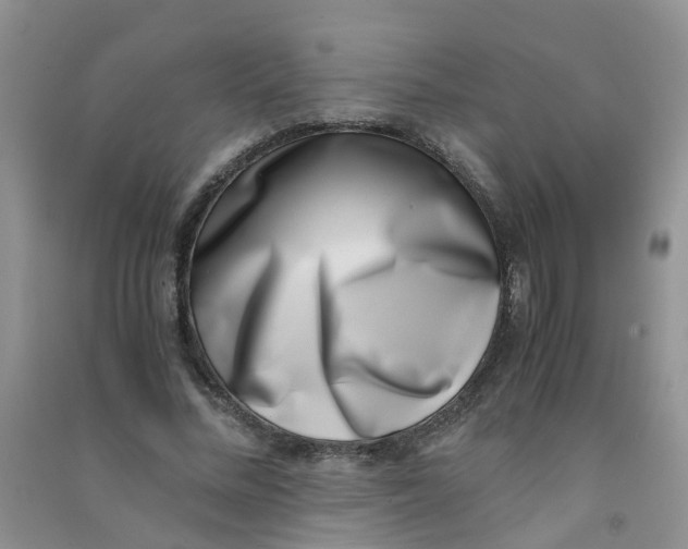 X0000090700684200708171847