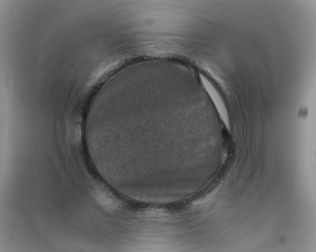 X0000090700685200708171847