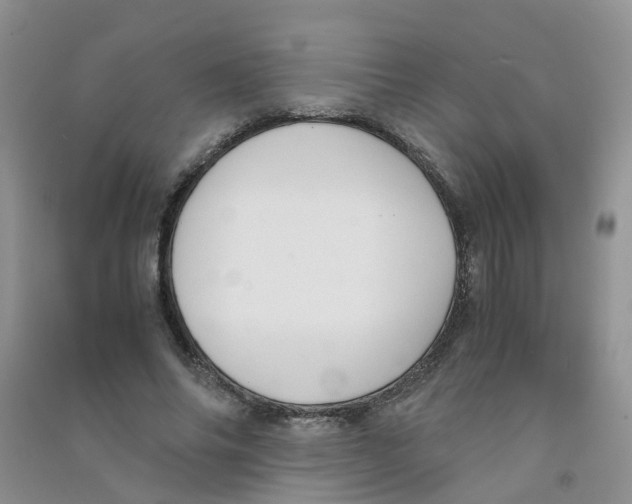 X0000090700686200708171847