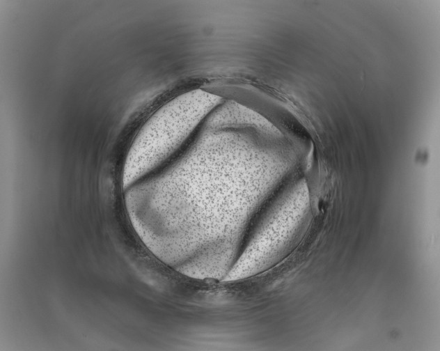 X0000090700688200708171847